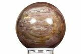 Colorful Petrified Wood (Araucaria) Sphere - Madagascar #323609-1